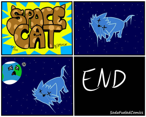 Space Cat!