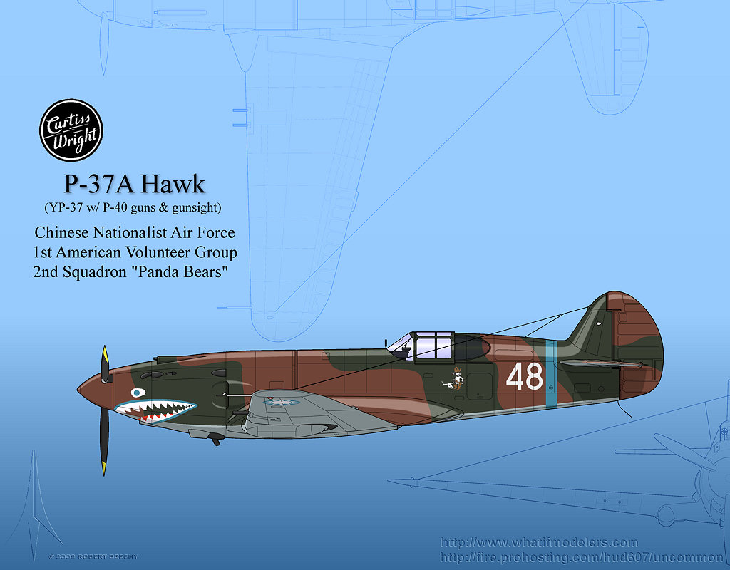 Flying Tigers Hawk 2