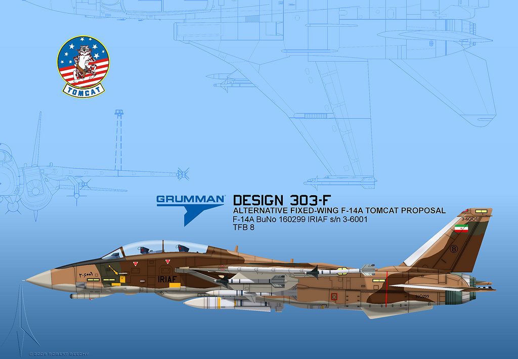 Iranian Fixed Wing Tomcat