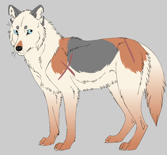 Annika || Wolf OC (Maybe for a comic?) by Samuraithecat on DeviantArt