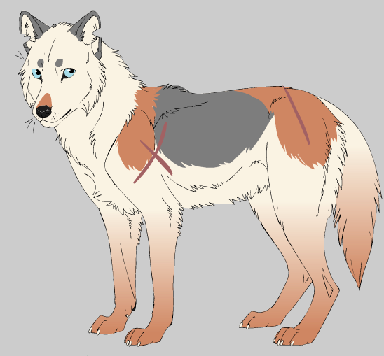 Annika || Wolf OC (Maybe for a comic?) by Samuraithecat on DeviantArt Annika || Wolf OC (Maybe for a comic?) by Samuraithecat on DeviantArt