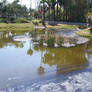 La Brea tar pits 02 - stock