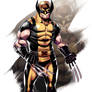 MARVEL: Wolverine