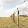Barbed wire fence III