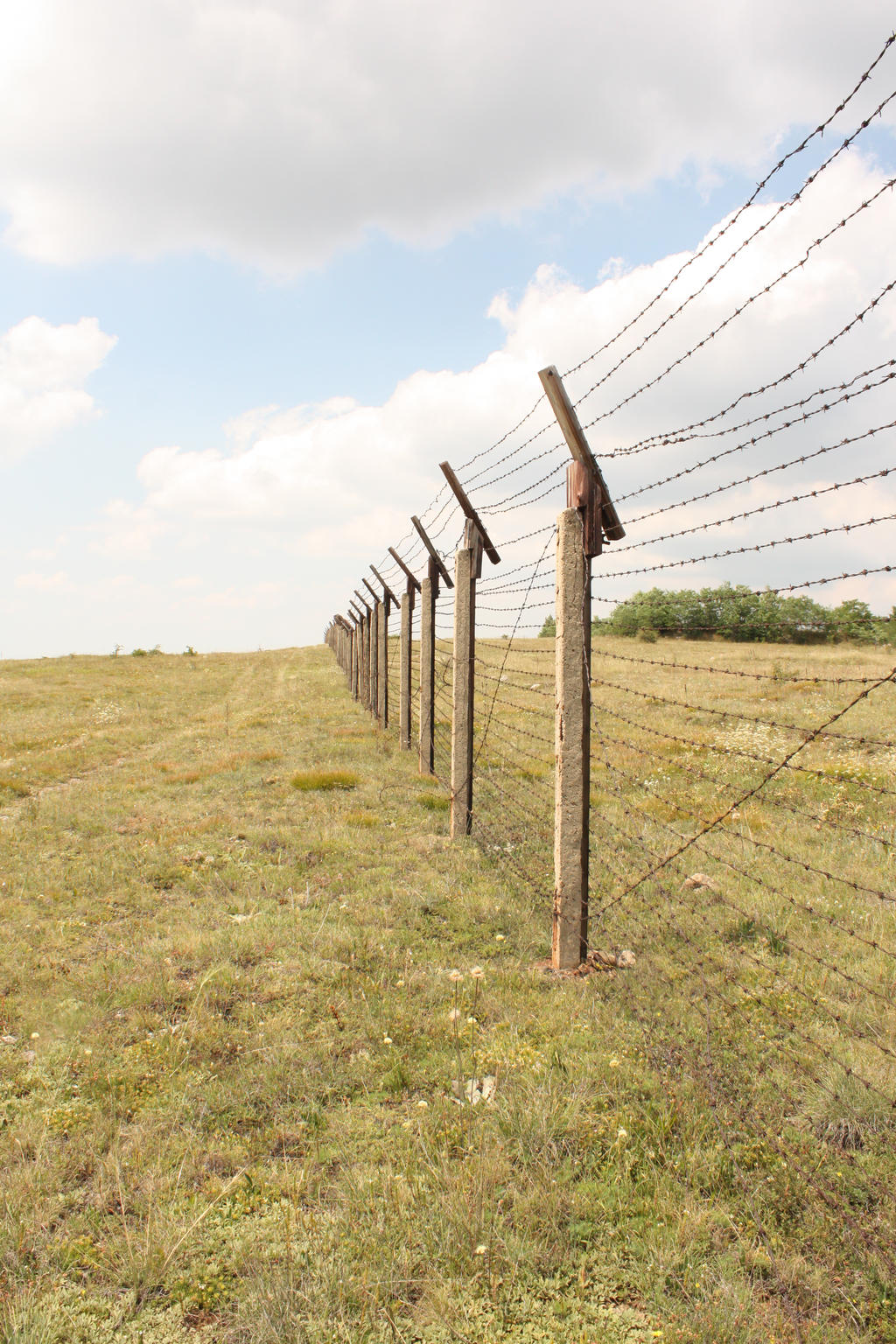 Barbed wire fence III