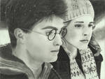 Harry and Hermione by KathrynAmanda