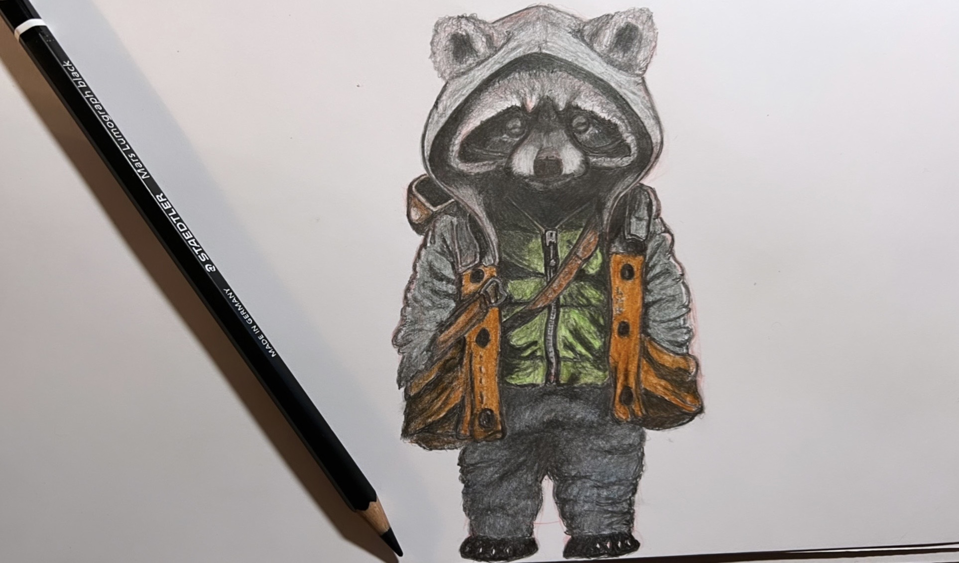 Racoon colored by Designtopf on DeviantArt