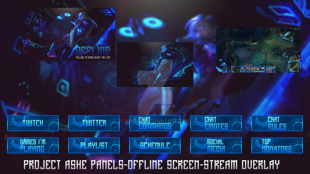 Project Ashe Panels Overlay  Offline Screen