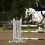 Horse Trials Stock 5