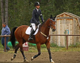 Horse Trials Stock 28