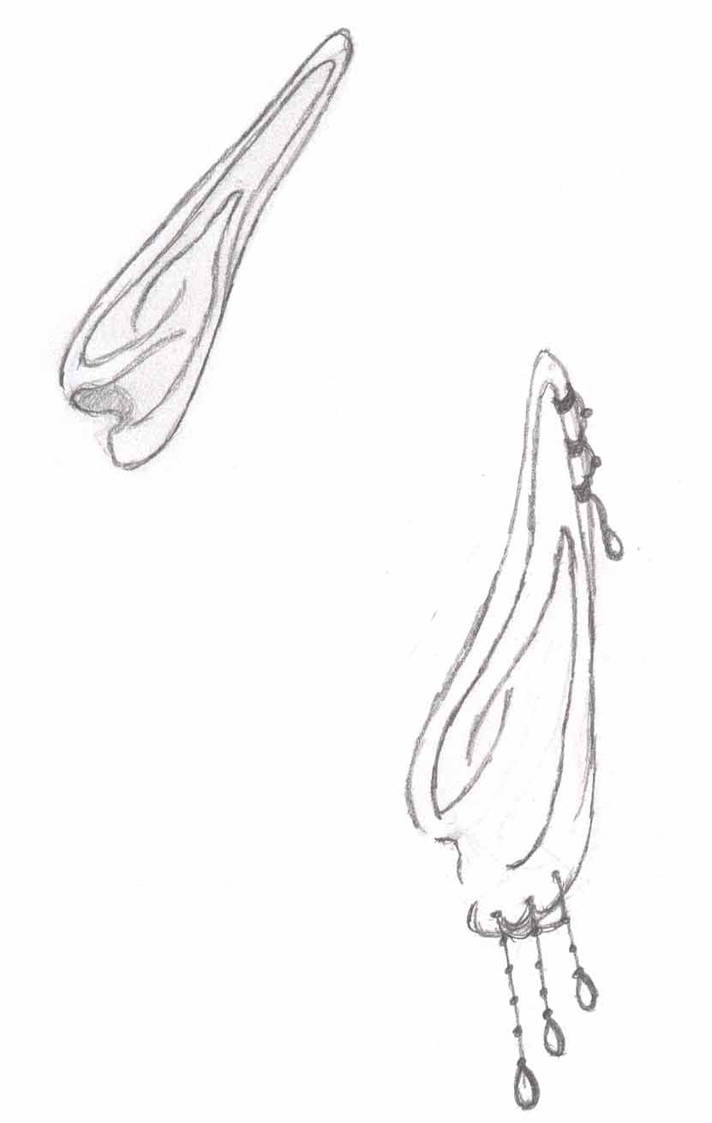 Elf Ears - Sketch by lotusthefallen on DeviantArt