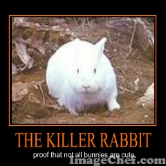 Monty Python Rabbit Meme