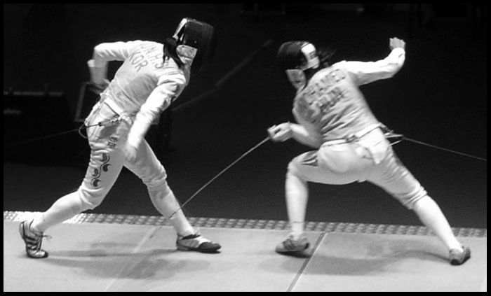 Fencing