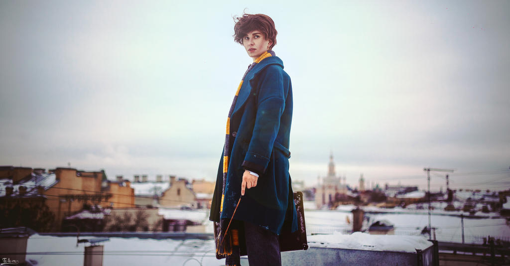 Newt Scamander - Fantastic Beasts (2)