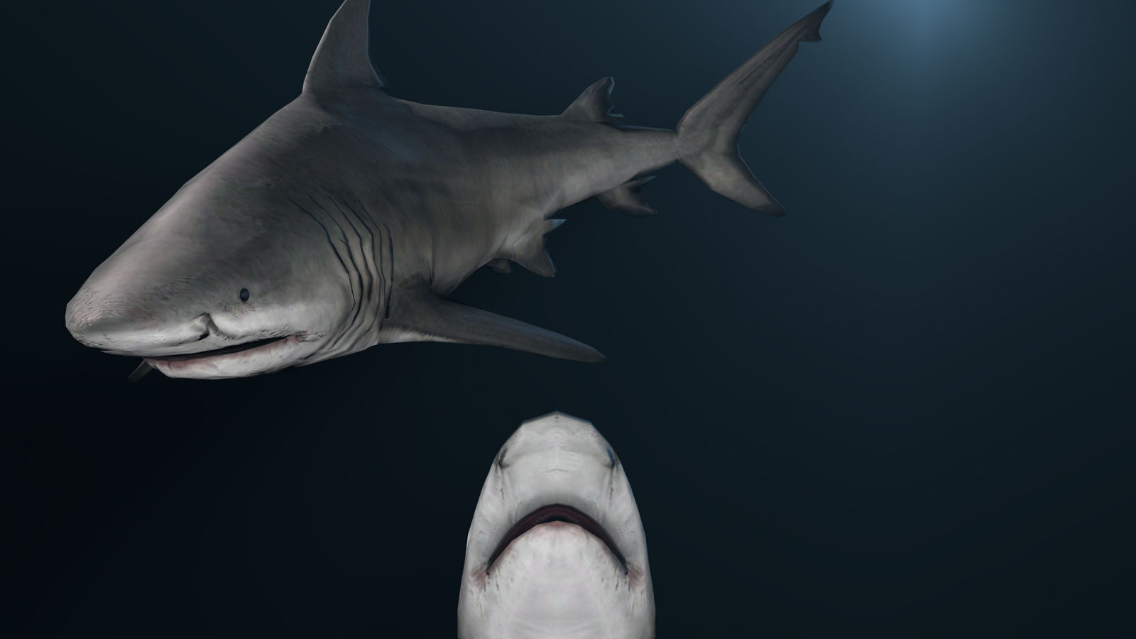 Far Cry 3 - Shark by nniy on DeviantArt
