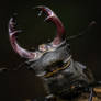 Stag beetle macro closeup