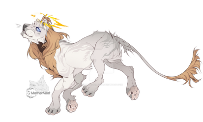 Lion adoptable CLOSED