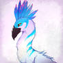 Aurelius