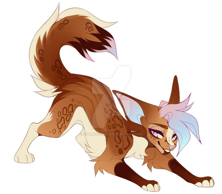 Adoptable SOLD
