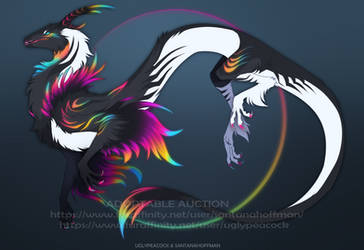 Adoptable Auction |CLOSED|