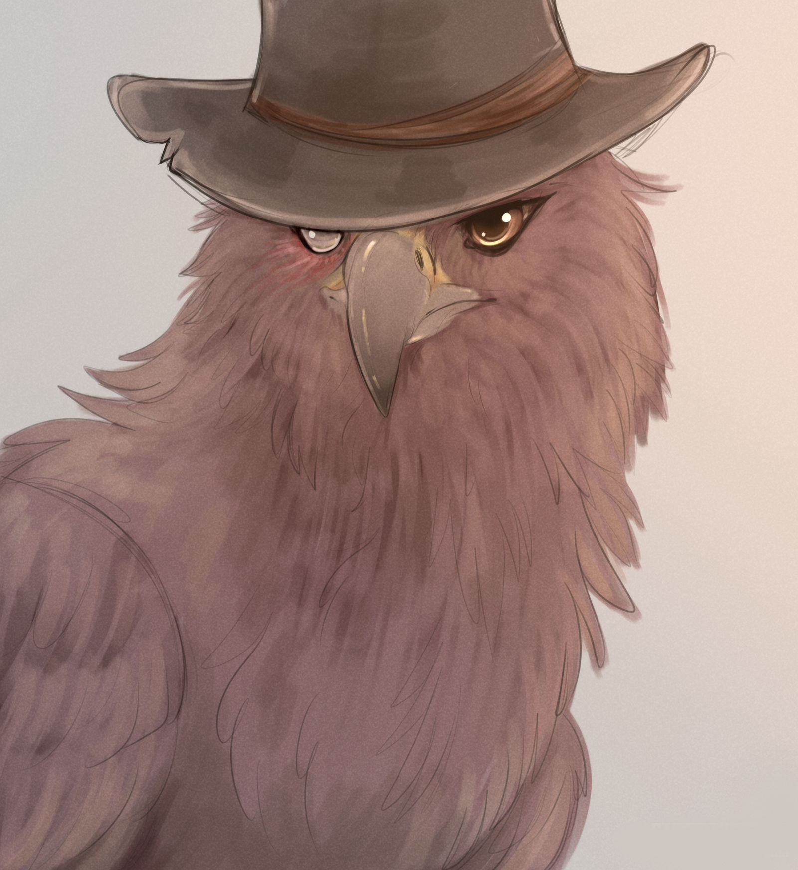 Eagle in a hat