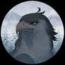 Ran the Eagle