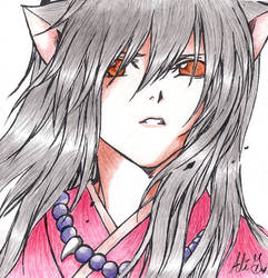 Colored Inuyasha