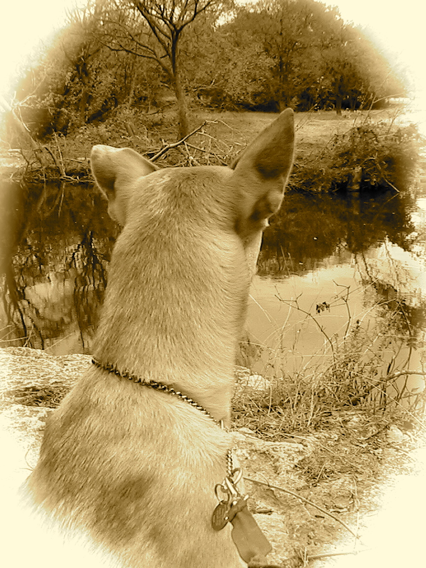 What's beyond the creek? Sepia