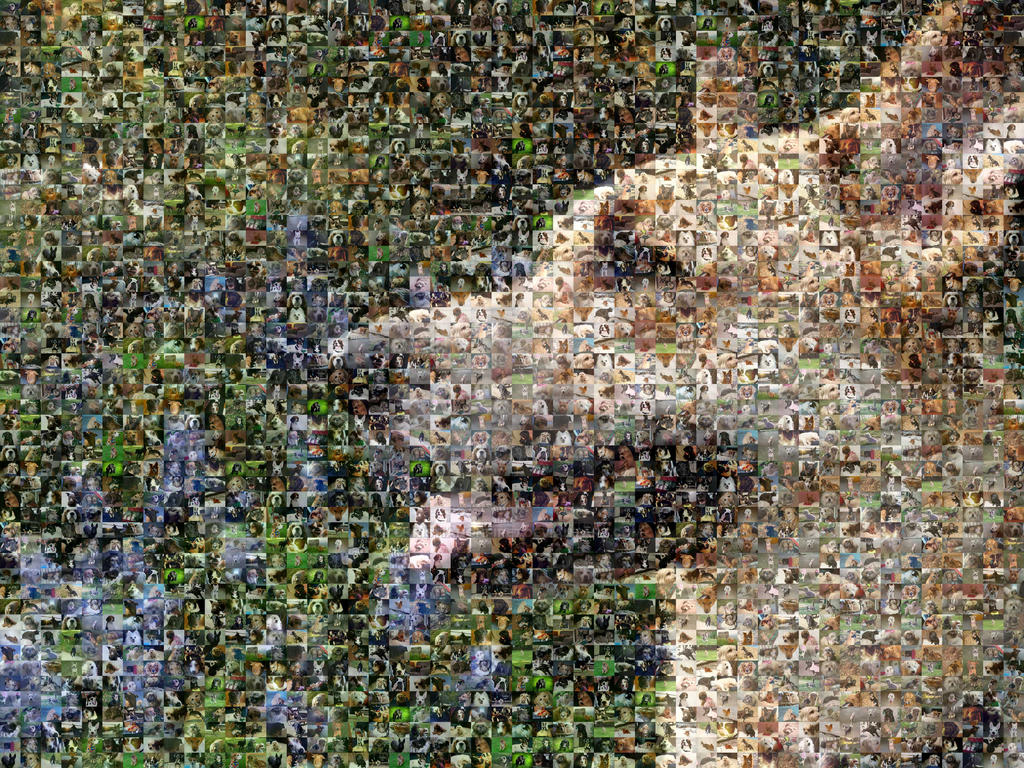 Gideon mosaic