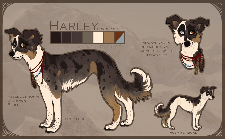 Border Collie Auction (CLOSED)