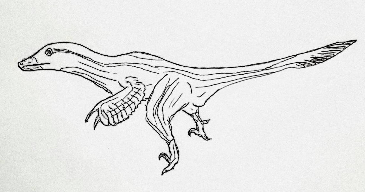 Accurate Velociraptor by Redesigner3 on DeviantArt