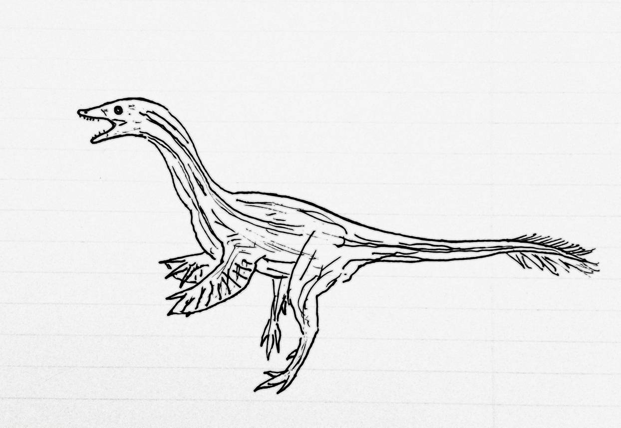 Coelurus Deviantart Coelurus by Redesigner3 on DeviantArt