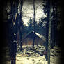 a shed in the dark forest