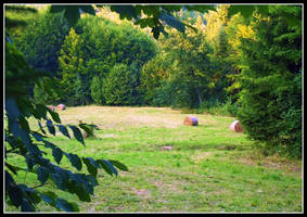 idyllic summer scenery