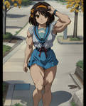 Haruhi Suzumiya (12)