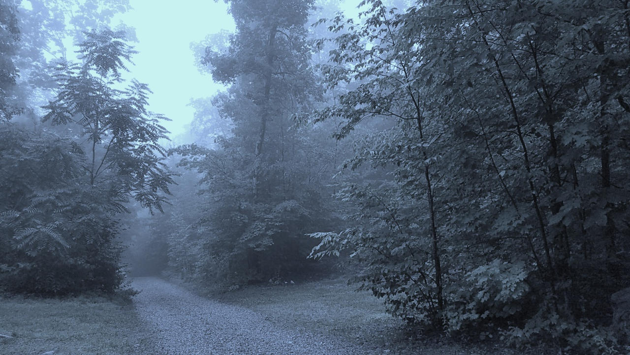 Fog on a mountain at dawn