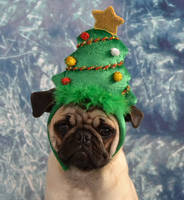 Pug Christmas Tree