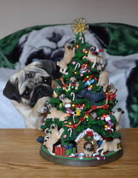 Puppy Fascinated By Pug Christmas Tree