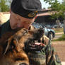 military working dog