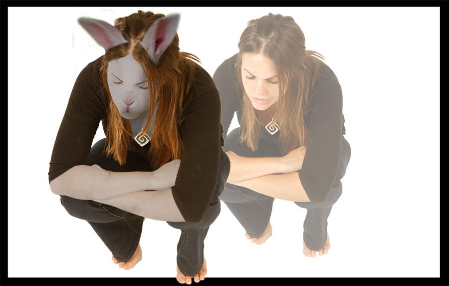 Rabbit Stephanie by stephabi on DeviantArt