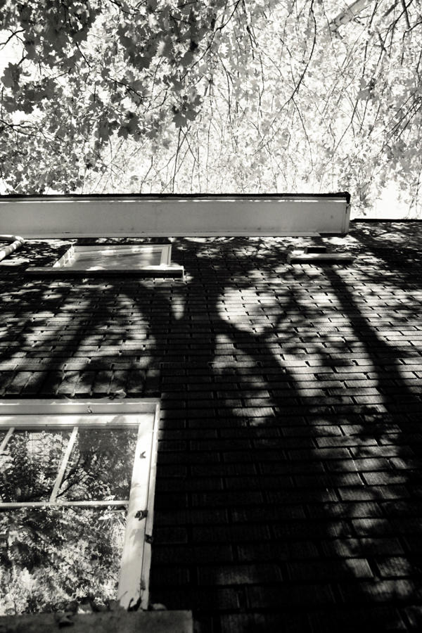 Distorted Shadow Drawing Shadow Distortion by fly-by on DeviantArt