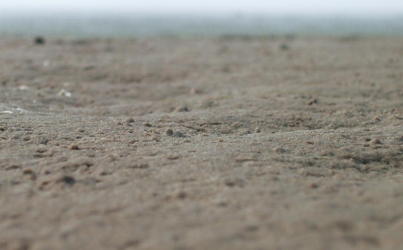 laying at low tide