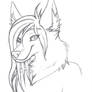 Anthro scetch