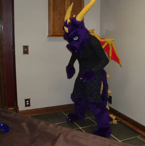 spyro the dragon