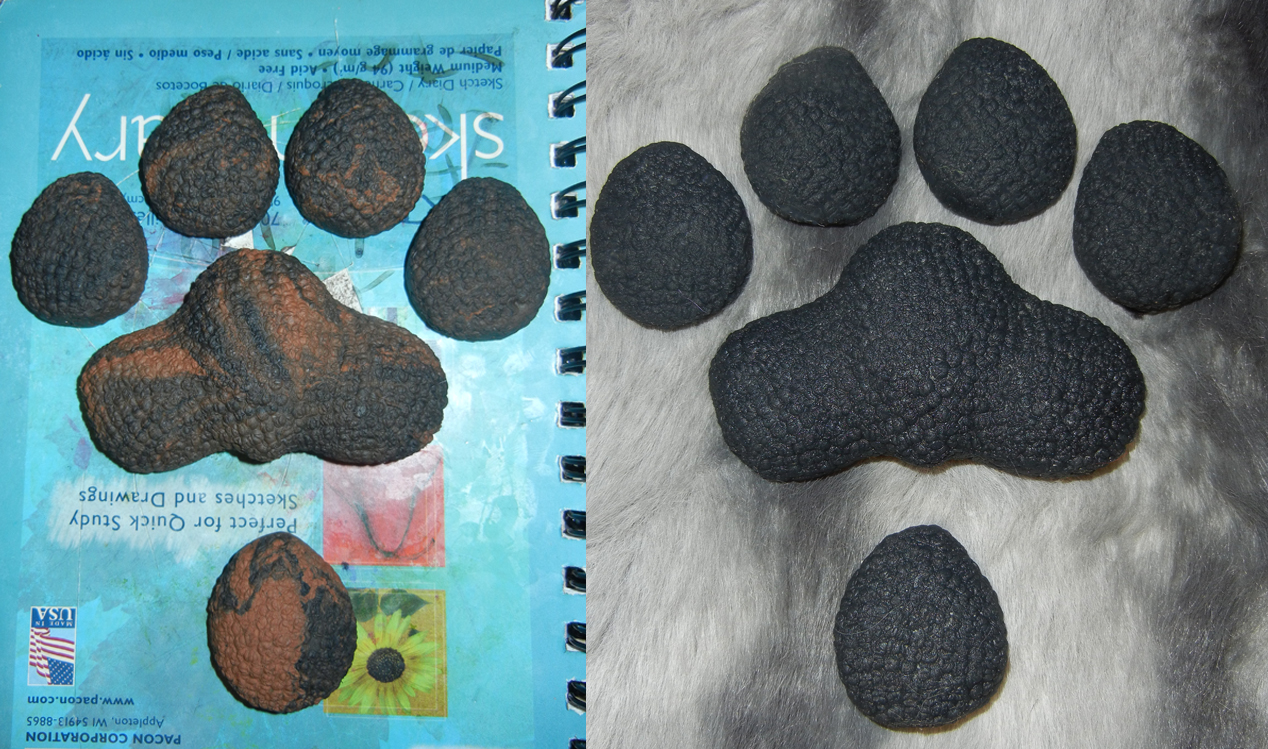 Canine sculpt and cast paw pads