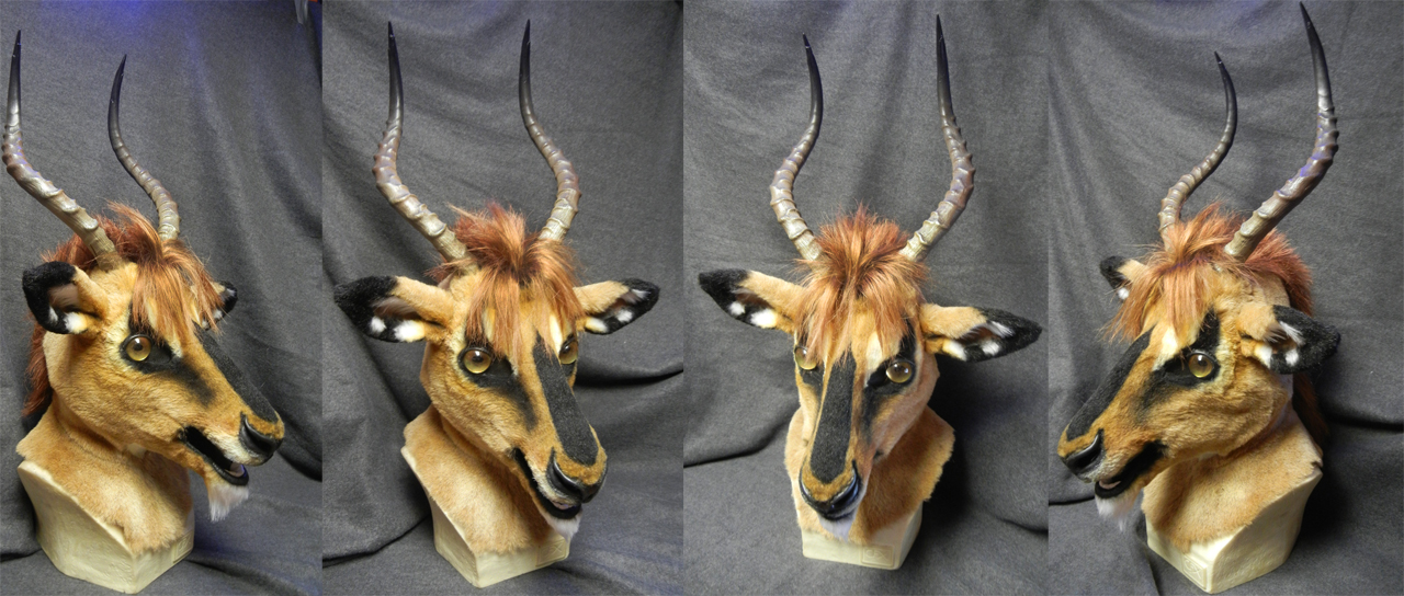 Black Faced Impala head.