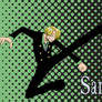 Sanji Kick