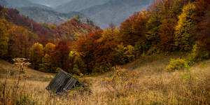 Hut in autumn