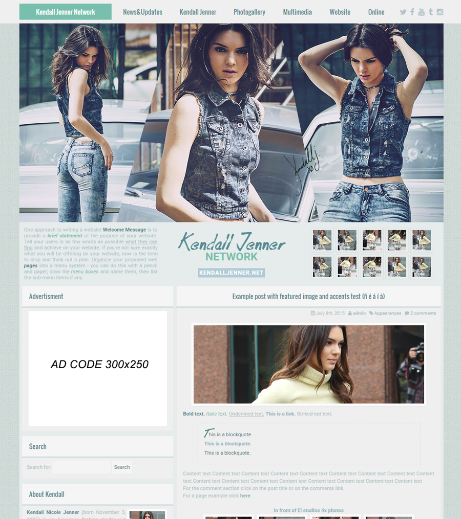 Wordpress theme - Premade 002