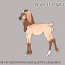 W323 RSF Toasted Marshmallow [Foal Design]